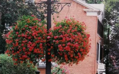 The Clark Foundation and Village of Cooperstown Beautification Contest